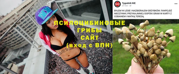 apvp Покачи