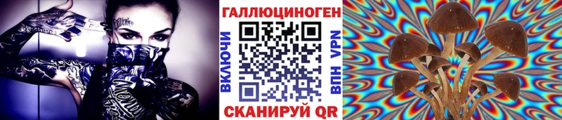 Псилоцибиновые грибы GOLDEN TEACHER  купить закладку  дарк нет наркотические препараты  Омск 